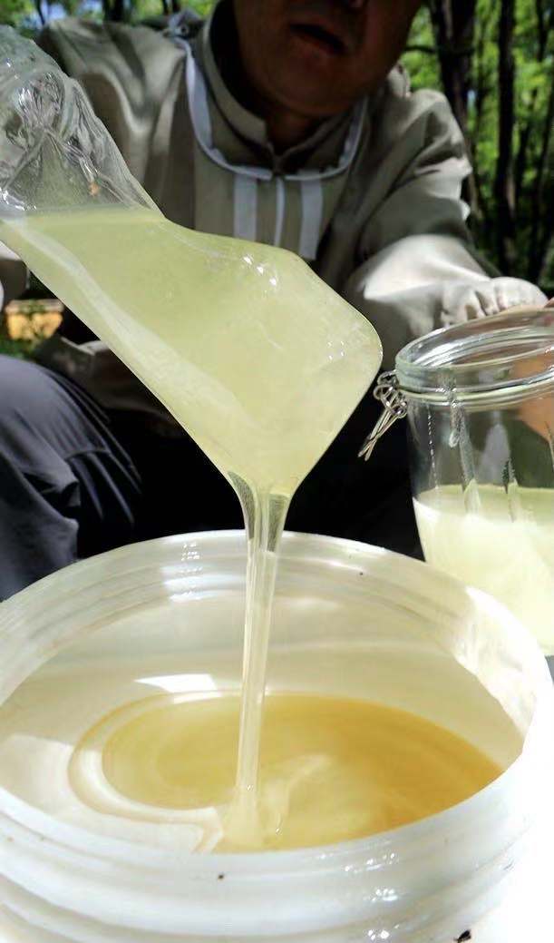 蜂蜜的各种颜色的区别,冰箱蜂蜜出现不同的颜色