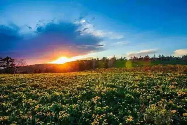 哈尔滨自驾三亚边走边玩最佳路线,哈尔滨到漠河自驾旅游攻略10天