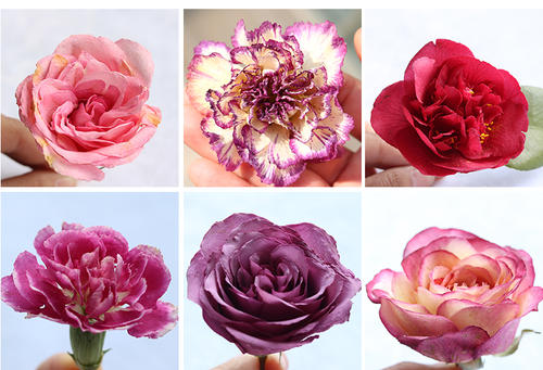 鲜花怎么保养成干花,鲜花变干花如何能保持原色