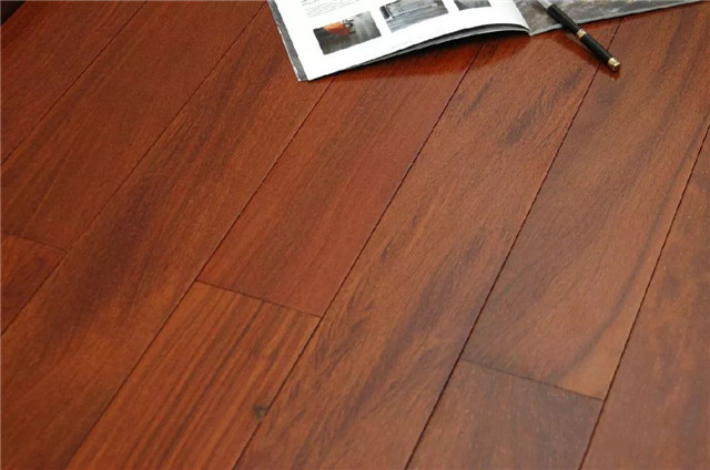 祥瑞之树,龙凤檀的风水作用