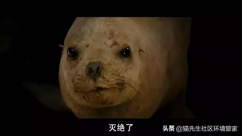 疯狂的裸体彩绘|这世间事十有八九都与垃圾分类有关