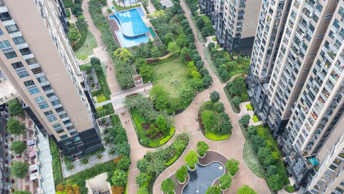 深圳女孩生猛买涨楼市,卖房的靓妹