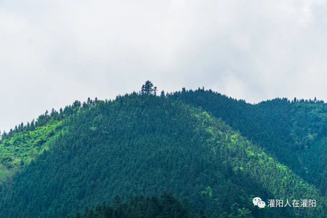 山上有个很大的石碑,桂林灌阳大石头