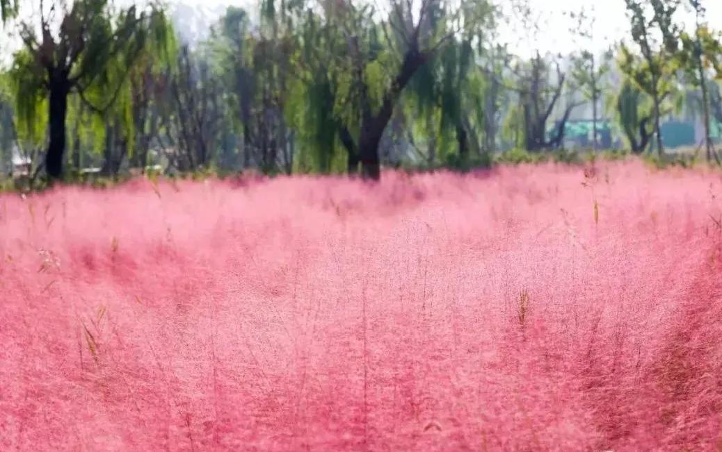 冷门私享！藏在这个古村落的秋日浪漫，偷偷告诉你！