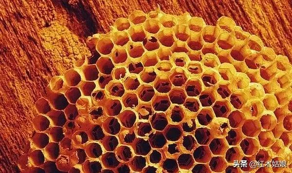 蜂蜡树蜡的区别,木蜡和蜂蜡哪个好