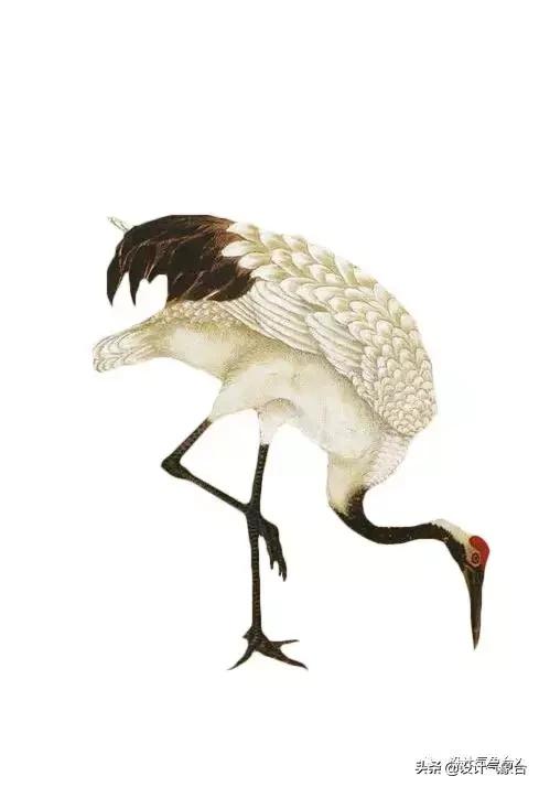 你嫉妒那个用古风出图的同事?我也嫉妒