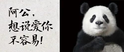 幼儿园公众号，想说爱你不容易