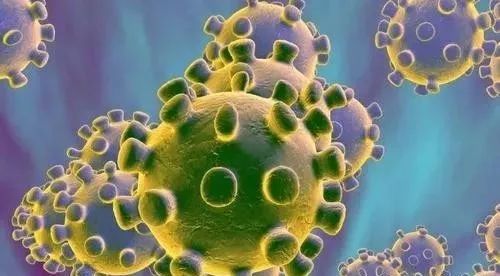 孙立宝,孙立宝外科主任