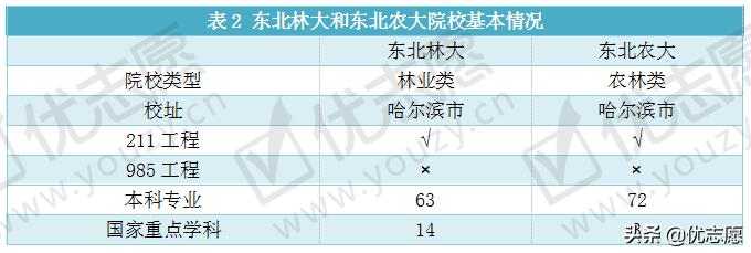 东北林业大学vs山东大学,东北林业大学pk山东师范大学