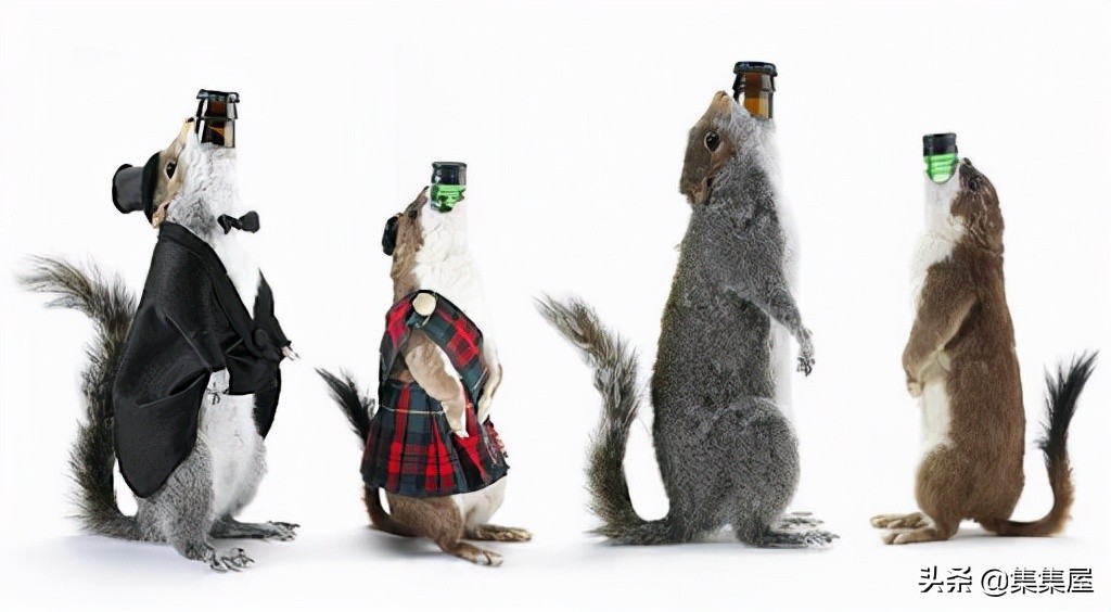 昂贵的进口饮料,五大世界上最难喝的饮料