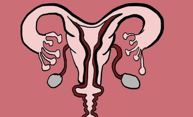 没有受孕的小蝌蚪会流出来吗,没有受孕的小蝌蚪到哪里去了