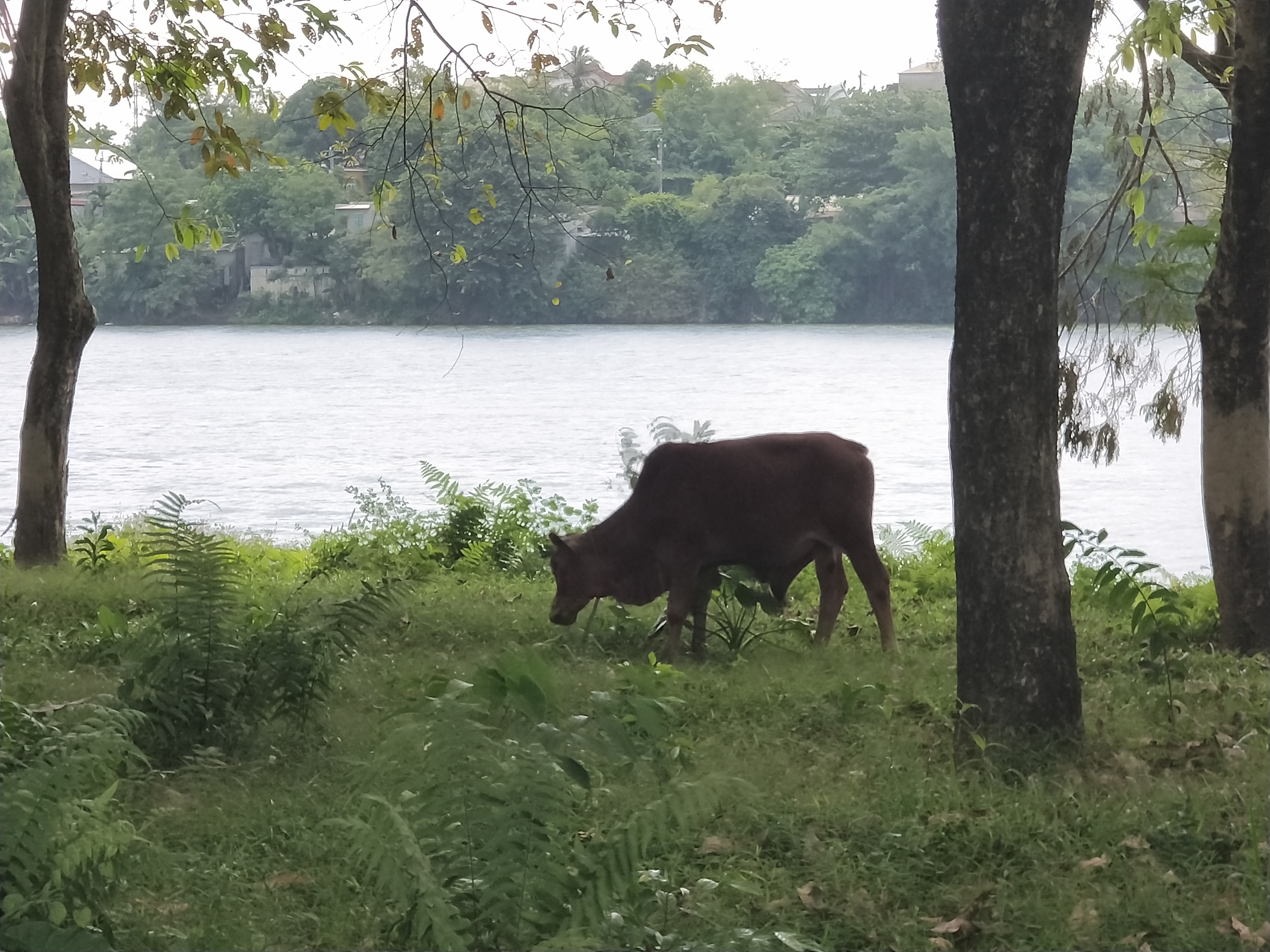 在越南怎么应对宰客现象,越南旅游吃饭贵不贵