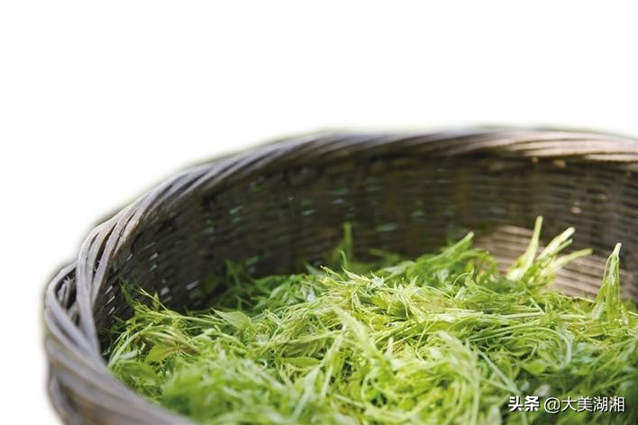 永顺县莓茶产业发展调查与思考,关于张家界莓茶产业发展