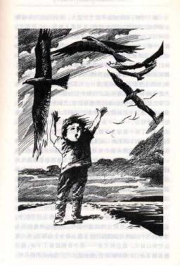 儿童英语阅读书籍推荐,阅读是学习语言的好方法