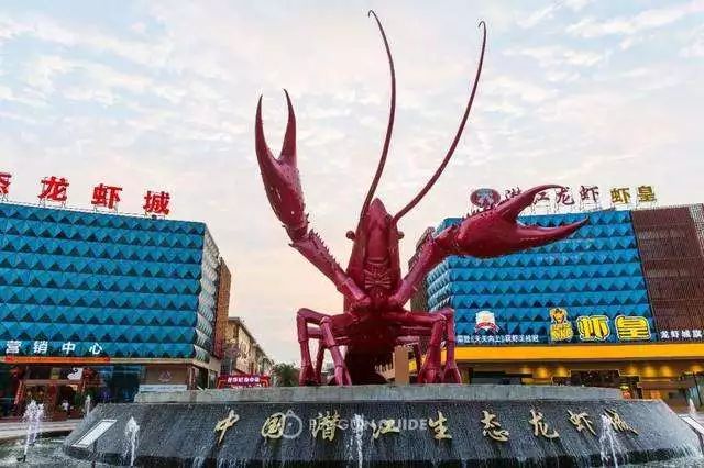 夏天适合出来吃小龙虾喝啤酒,夏天最重要的事喝啤酒吃小龙虾