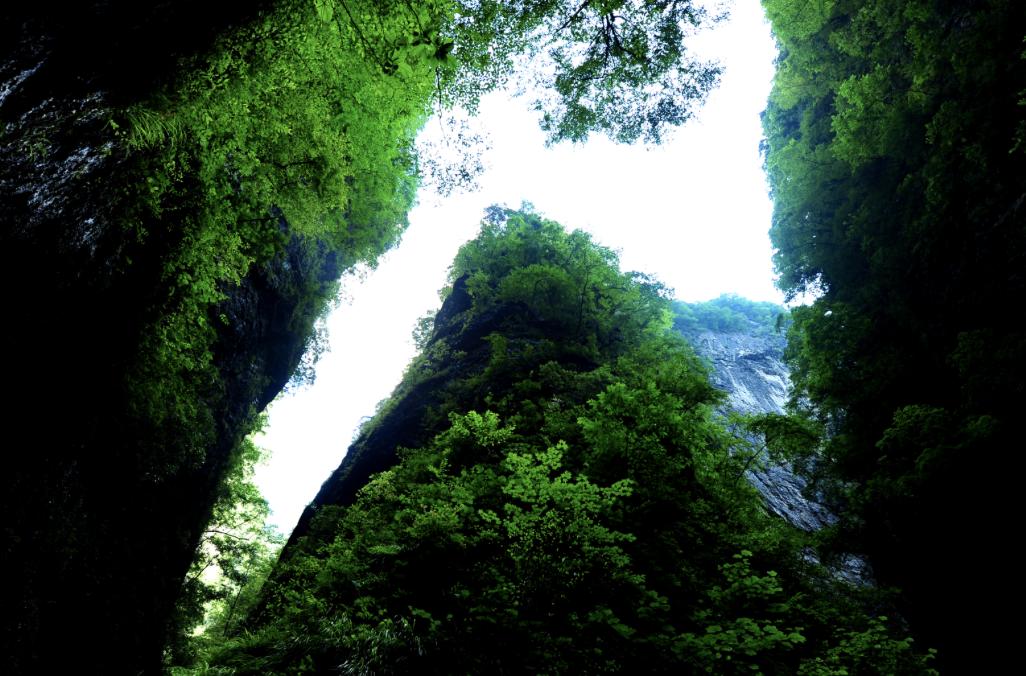 在青山绿水间感受大自然,在青山绿水间领略文明