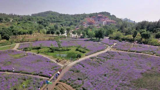 厦门香山有什么风景,厦门翔安必去8个景点香山