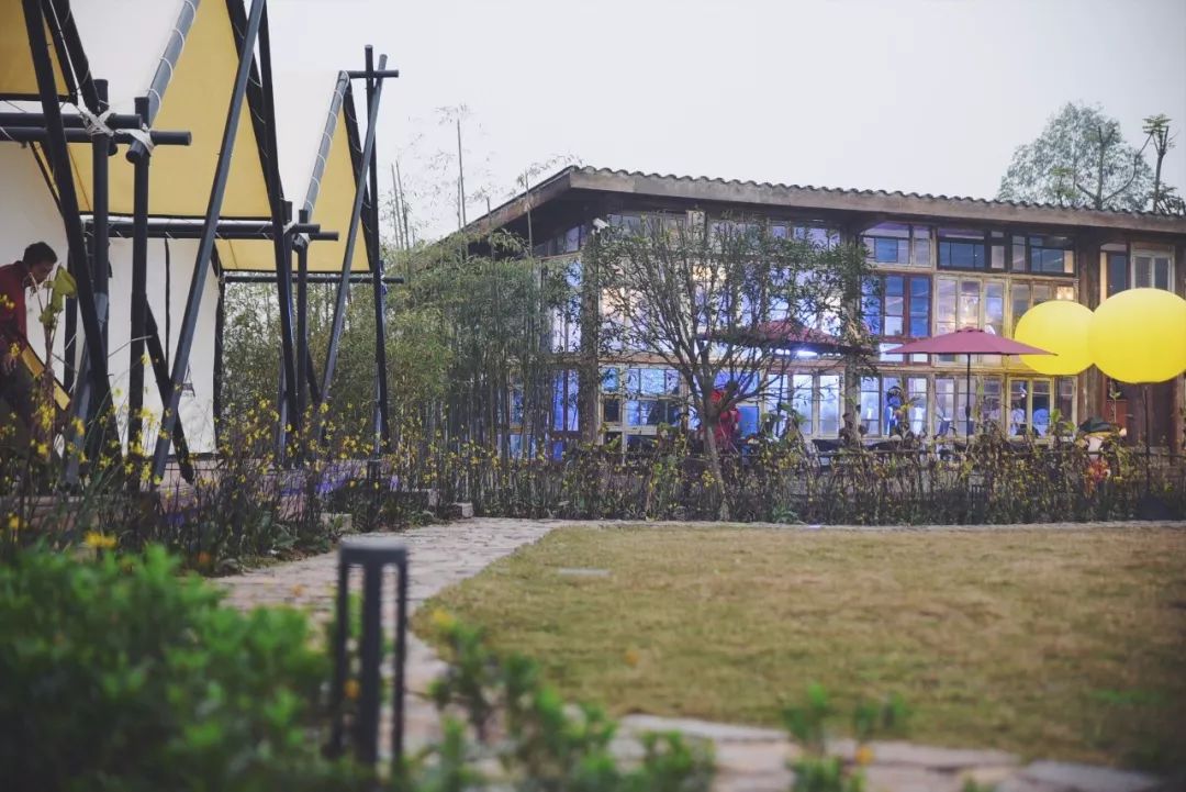 田园风光稻田帐篷,稻田星空露营基地