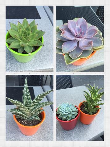 欧游散记原文,欧游散记无注释版