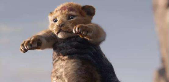 狮子王辛巴成长之路,狮子王辛巴从小变成雄狮