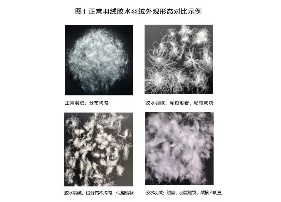 羽绒服青岛,青岛冬季羽绒服