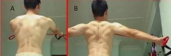 背肌进阶练习小朋友,背肌训练新手开始怎么练