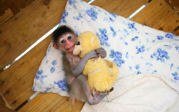 被别人误会变态了怎么办,被误认为是变态怎么办