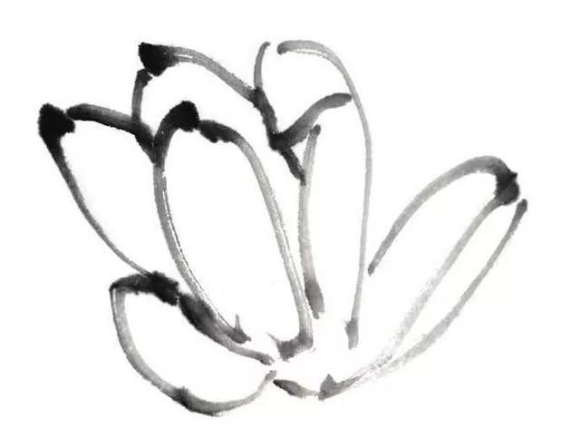 白描荷花100幅画法,荷花的画法白描图