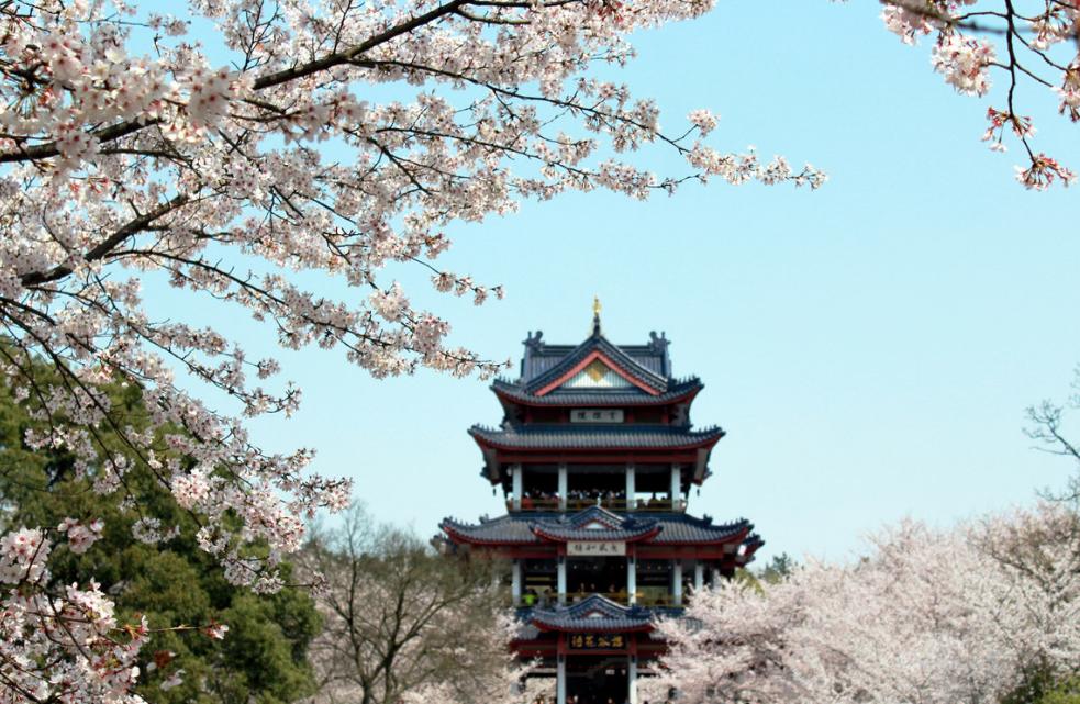 无锡一个来了就不想走的地方,一座你来了就不想走的古城