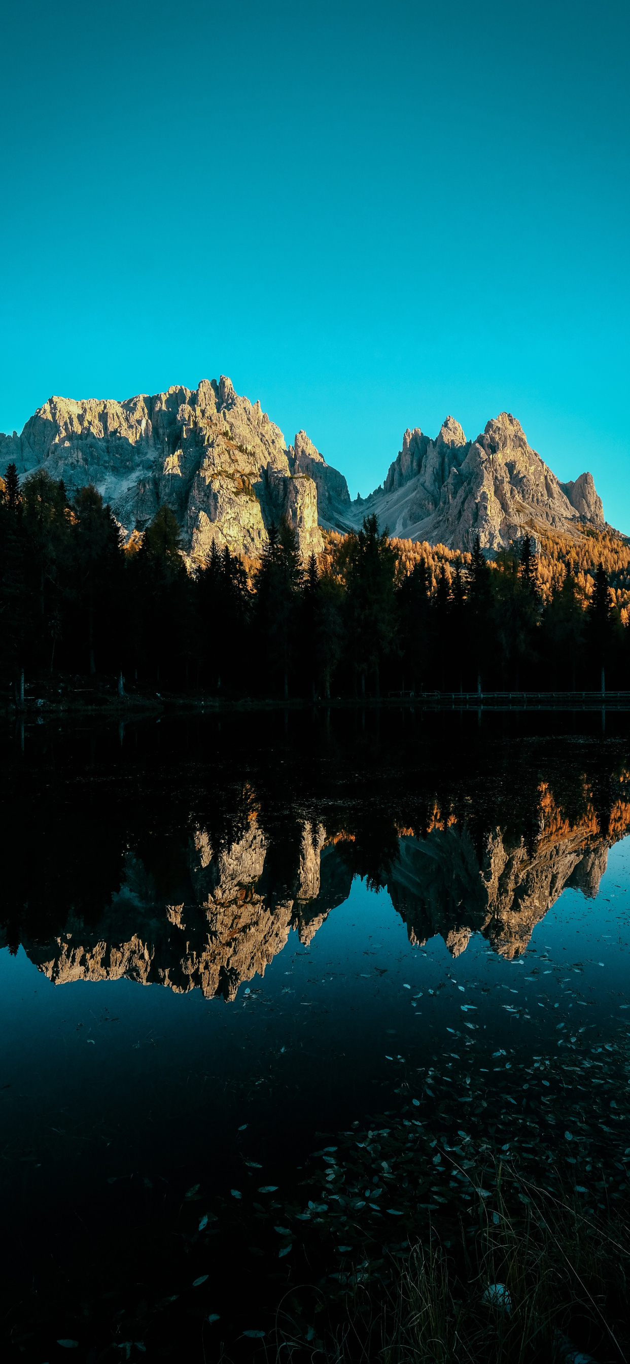 苹果12刘海屏专用壁纸,苹果11刘海屏高清壁纸