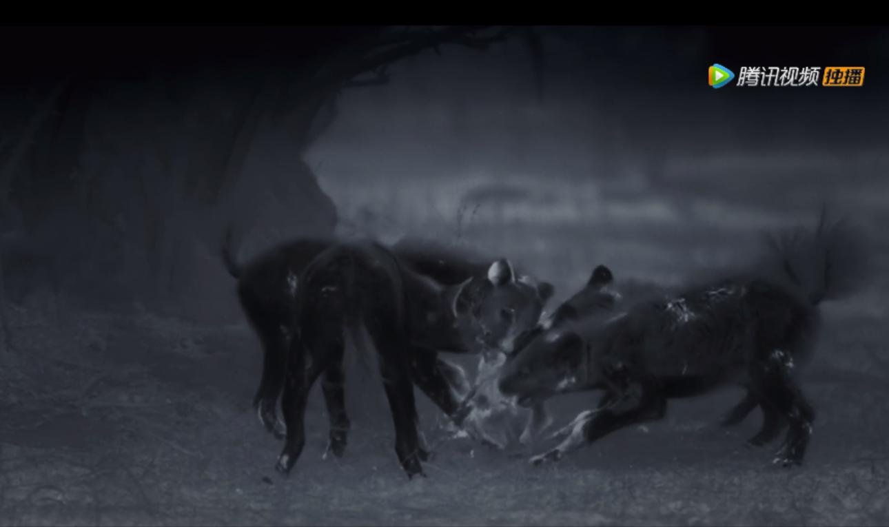 《王朝》详述杂*狼色**女儿居然对母亲六亲不认？