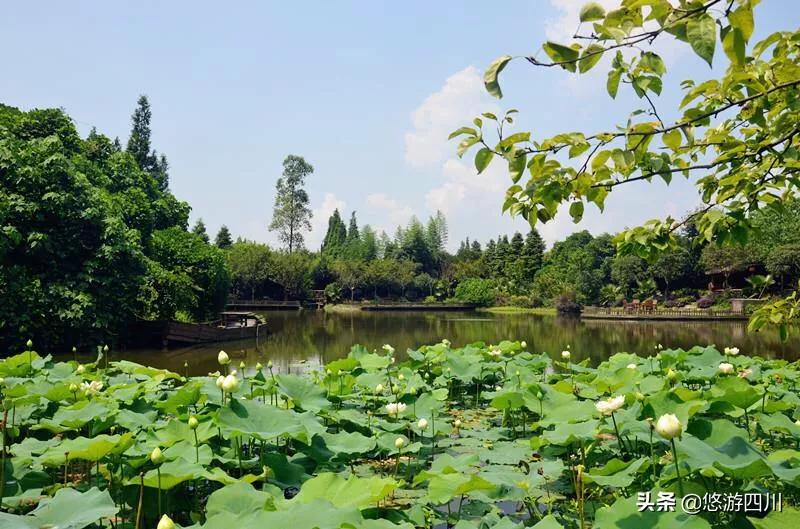 婕缁块亾鏃呮父鏅偣,鎴愰兘鏋楃洏缁块亾鏃呮父鏀荤暐
