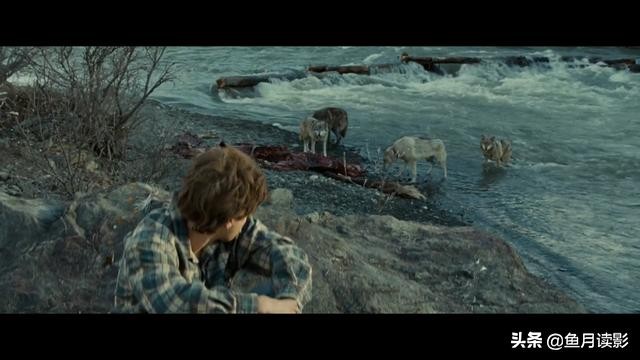 20部必看荒野生存的电影,推荐几部好看的电影荒野生存