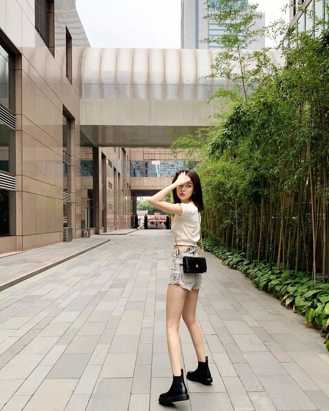 娱乐圈的小花有哪些,娱乐圈里的小花