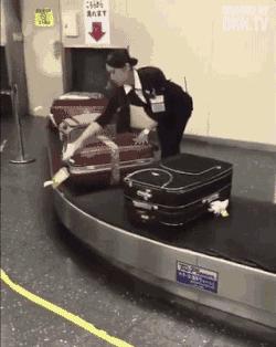 到日本哪个航空公司最好,去日本哪个航空比较好