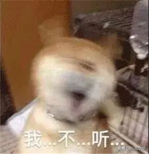 雅思烤鸭备战心得,名师谈烤鸭们在雅思考试中的问题