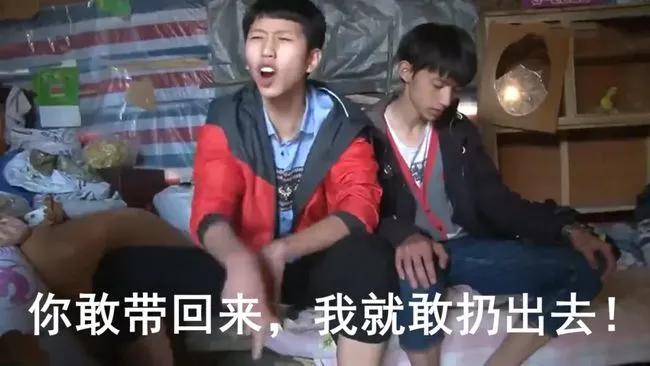 家里不同意养猫,家里不让养猫怎么让家长同意养猫