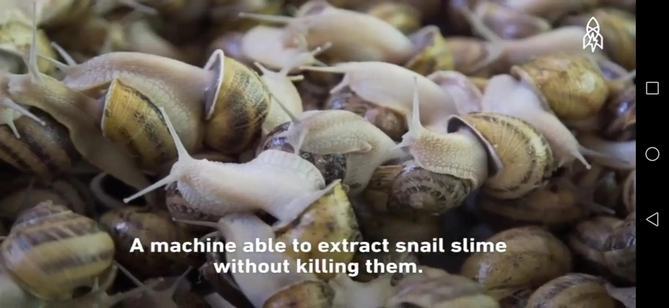 蜗牛的护肤品,所有蜗牛牌的护肤品