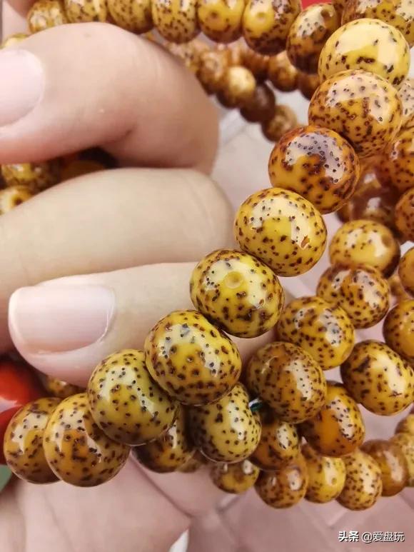 星月盘多久可开片,星月盘了几年都不开片