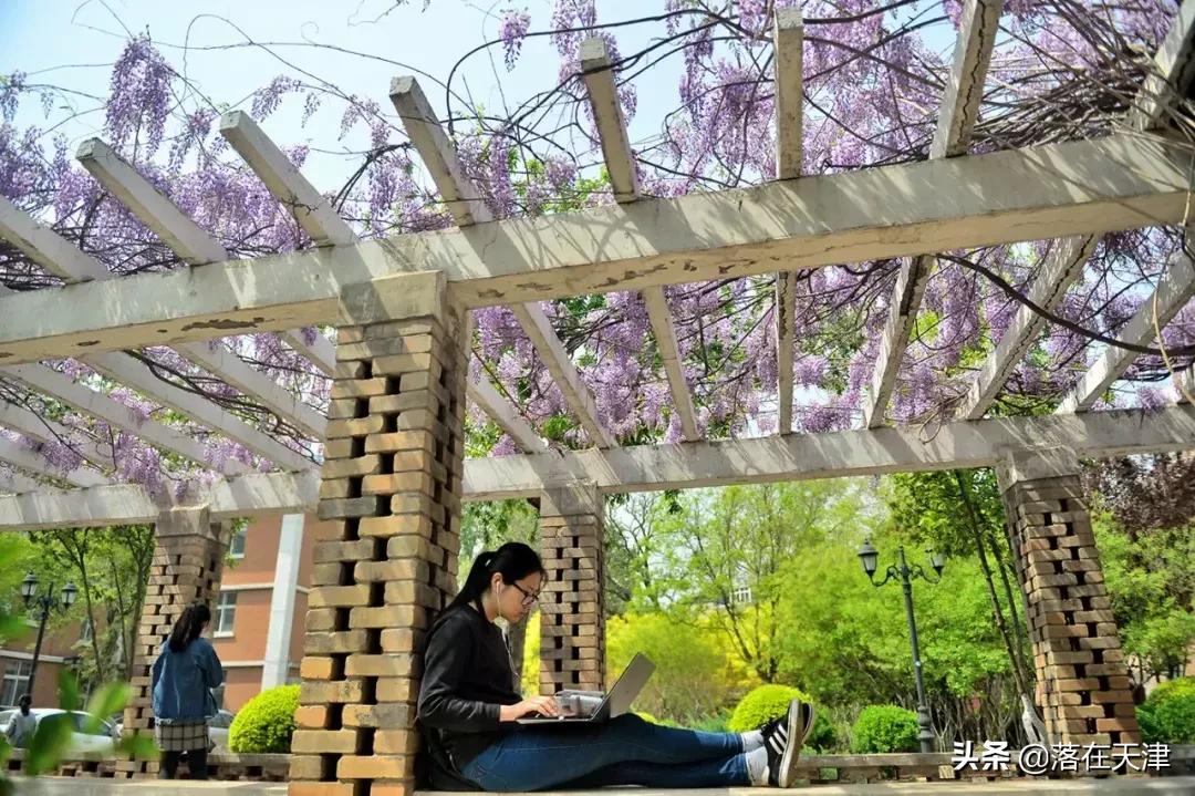 天津桃花堤开放吗,天津桃花堤桃花什么时间开花