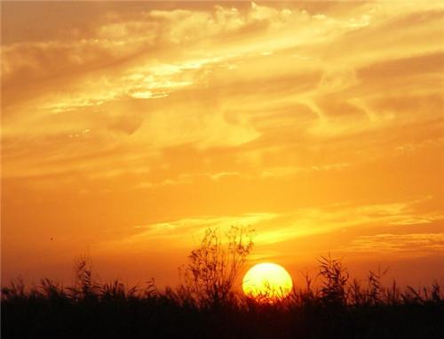 网赌输了五千块后悔怎么办,网赌输了16万怎么戒掉