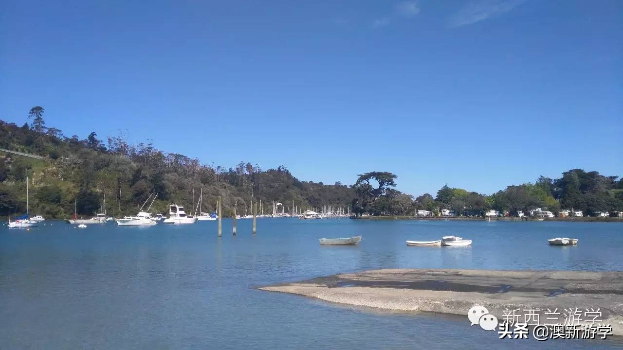 奥克兰一日游的旅游攻略,奥克兰西海岸徒步路线