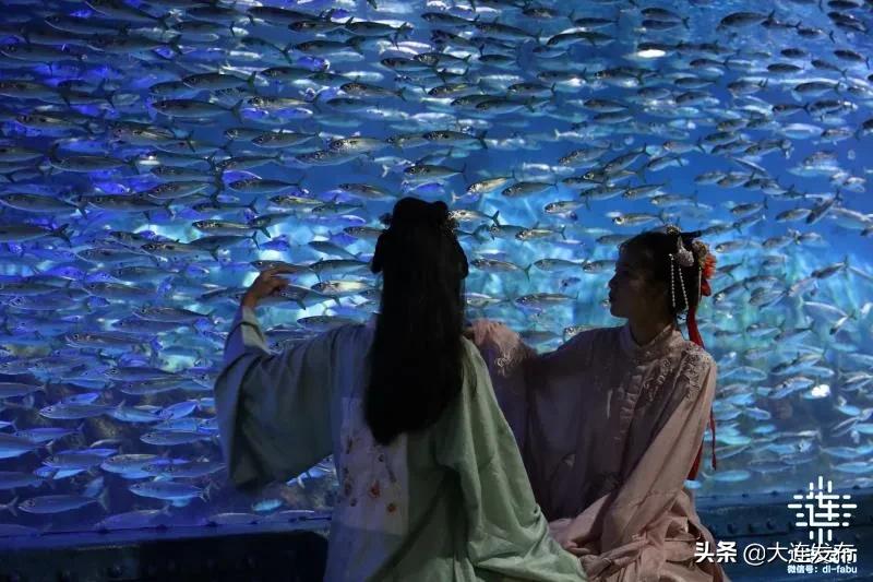 黄金周不打烊,黄金周不出门