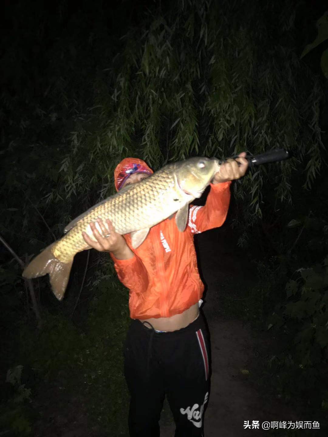 钓鱼新手必备6件装备推荐,钓鱼多年的总结