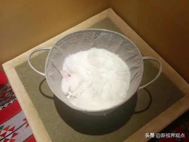 神奇的视觉错位图30张,神奇的错位照片