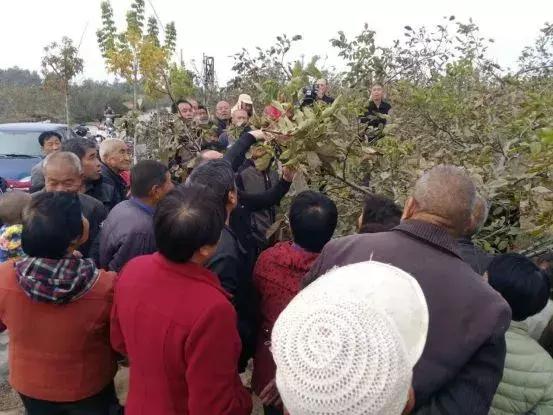 大荔县示范村名单,大荔县10个村