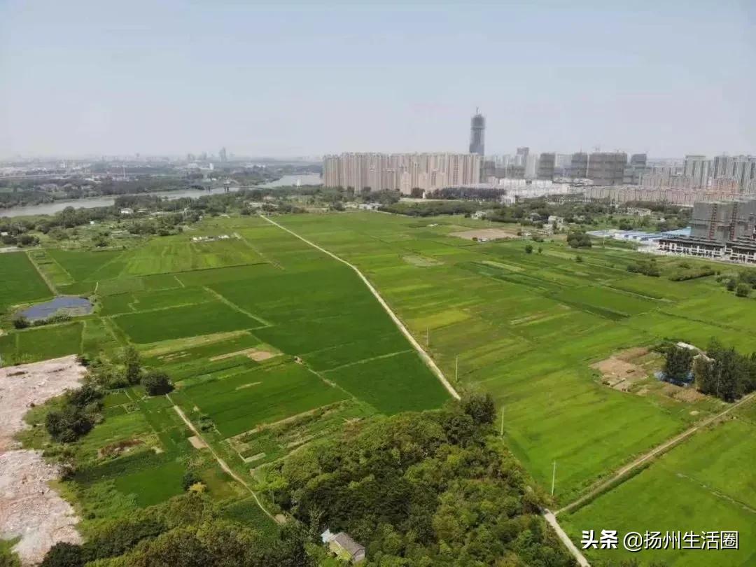 总投资22亿扬州新学校规划曝光,扬州新建学校规划在哪查看