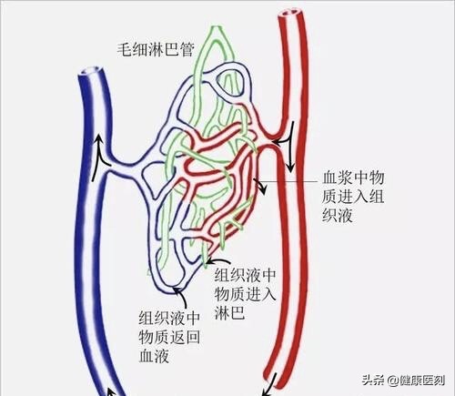 水肿之后减肥减得快吗,长期减肥不瘦怎么办