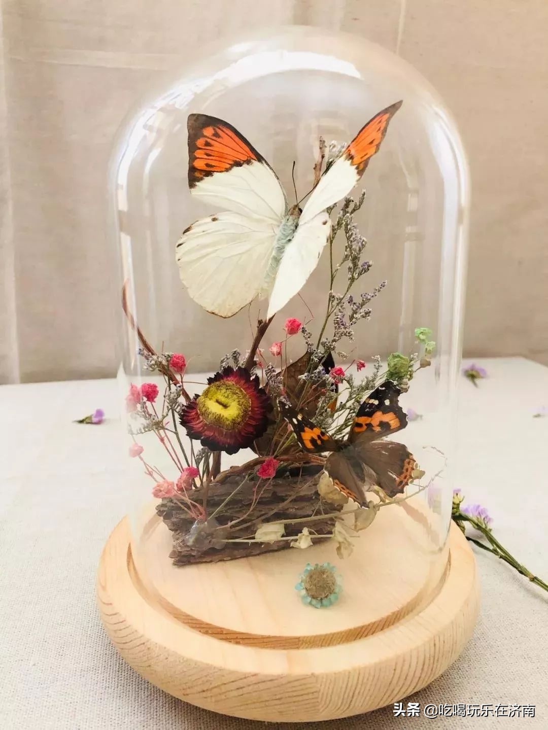 欧亚大观乐活城免费看,欧亚大观乐活城有什么玩的