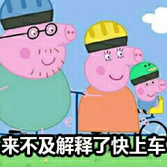 小白跨境电商必看,小白必须要看的海淘转运攻略